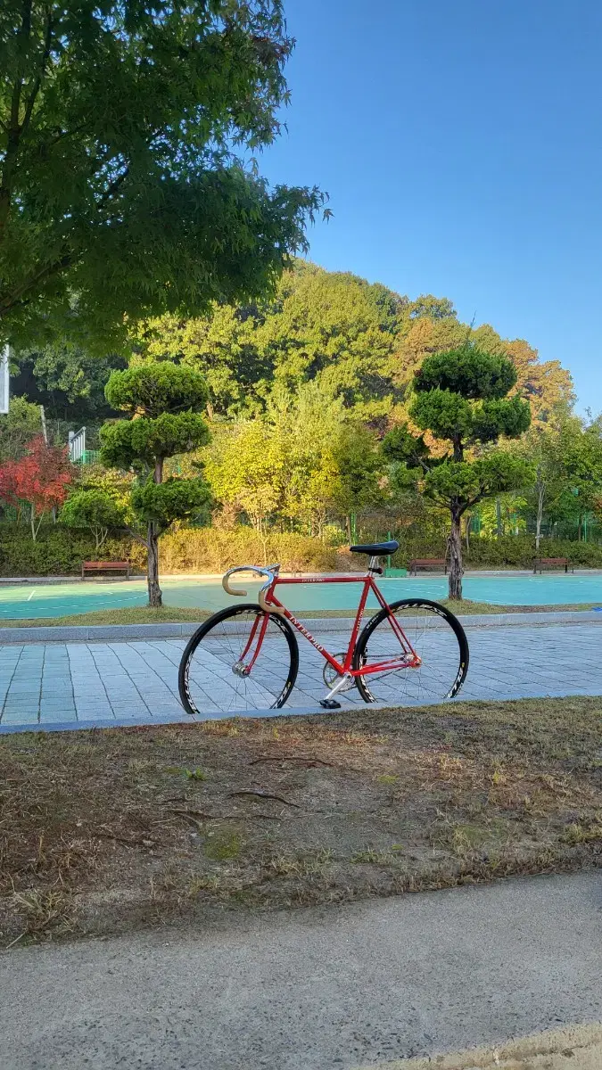 인터프로 경륜(이사로 인해 50에 처분 개급처)